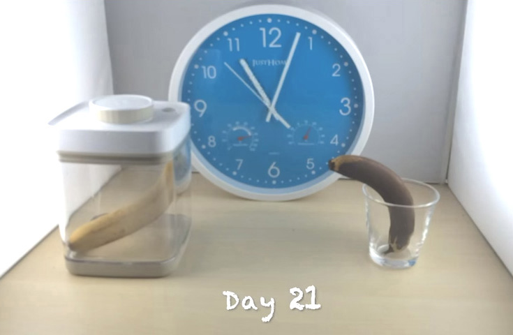 Photo of Video Time Lapse of Banana in Ankomn Savior v. Regular Storage - Day 21