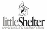 Little Shelter Animal Rescue & Adoption Center