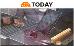 NBC-TV Today Show on iGrill mini with Mandy Walker and Matt Lauer!