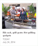 NBC-TV Today Show on iGrill mini with Mandy Walker and Matt Lauer!